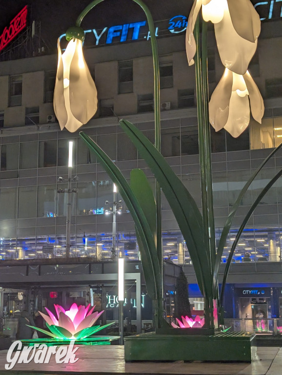 W piątek rusza Jarmark Bożonarodzeniowy