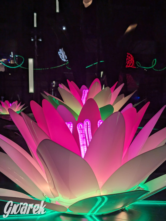 W piątek rusza Jarmark Bożonarodzeniowy