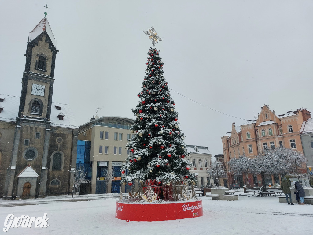 Tarnowskie Góry. Choinka już na rynku!