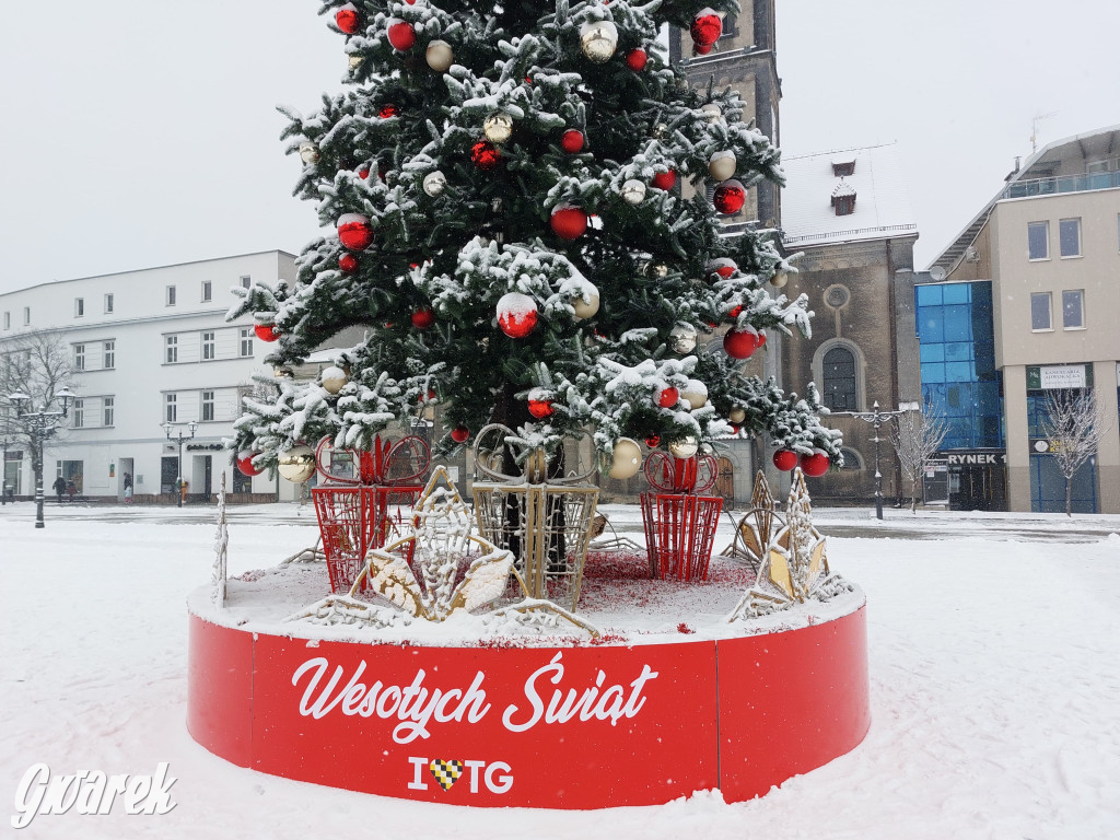 Tarnowskie Góry. Choinka już na rynku!