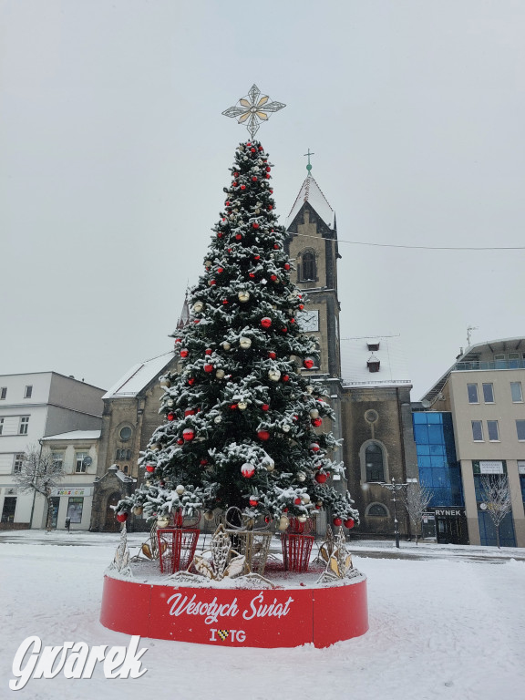 Tarnowskie Góry. Choinka już na rynku!