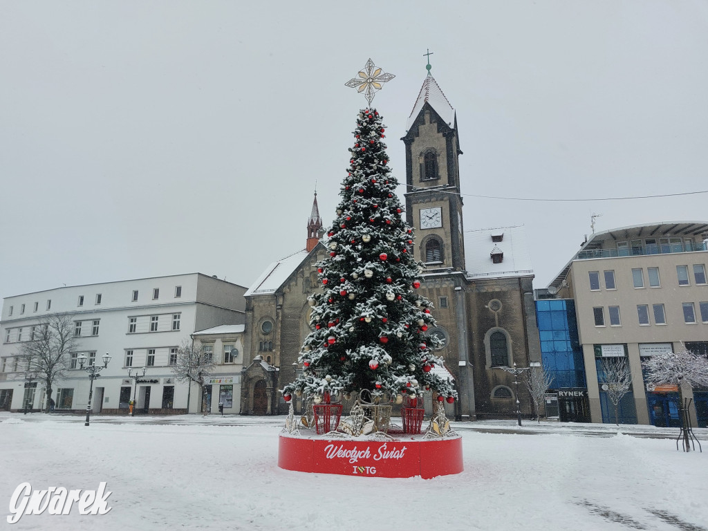 Tarnowskie Góry. Choinka już na rynku!