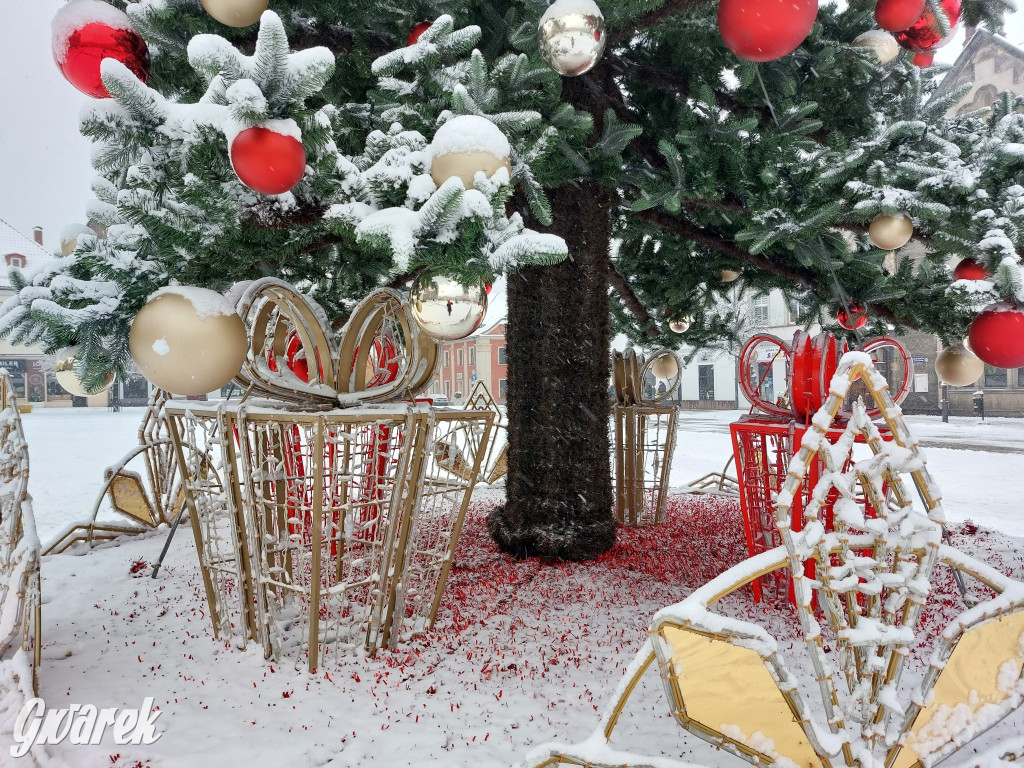 Tarnowskie Góry. Choinka już na rynku!