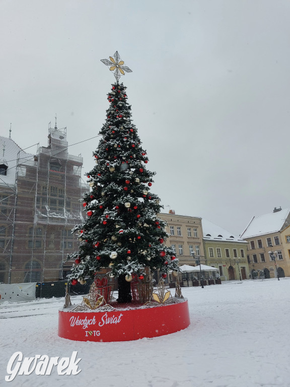 Tarnowskie Góry. Choinka już na rynku!