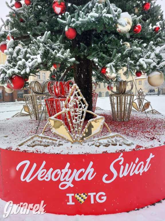 Tarnowskie Góry. Choinka już na rynku!