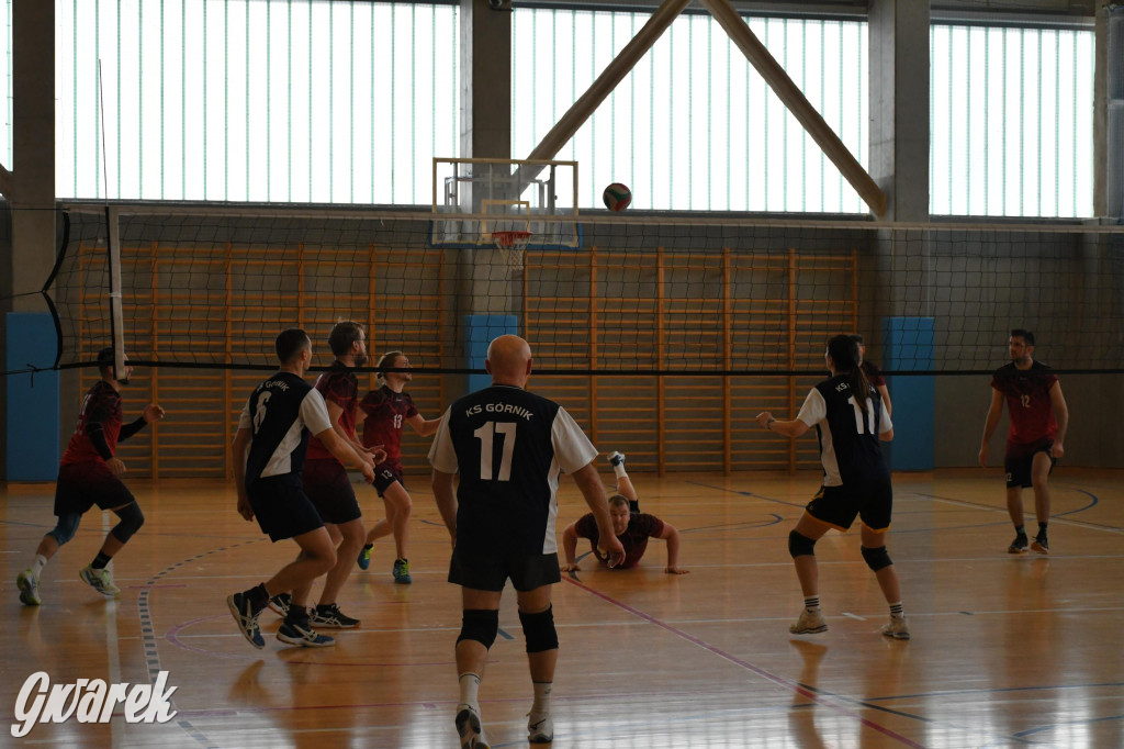 Znamy zwycięzców w siatkówce Spartakiady Dzielnic