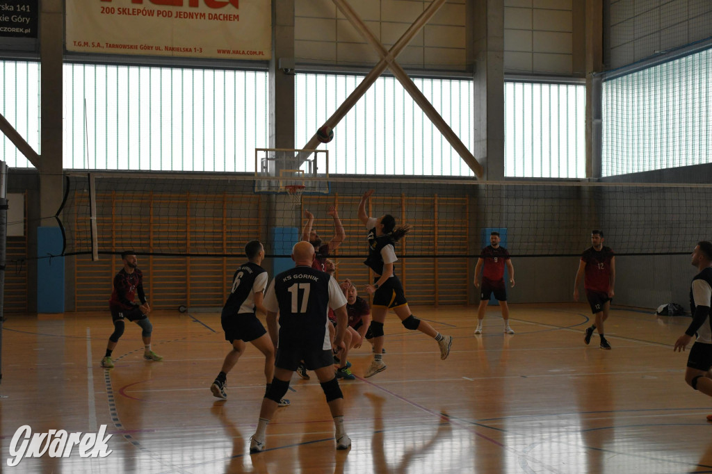 Znamy zwycięzców w siatkówce Spartakiady Dzielnic