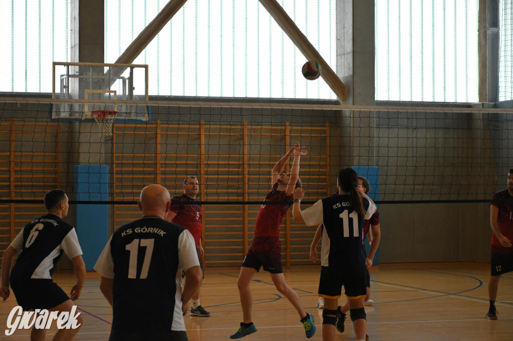 Znamy zwycięzców w siatkówce Spartakiady Dzielnic