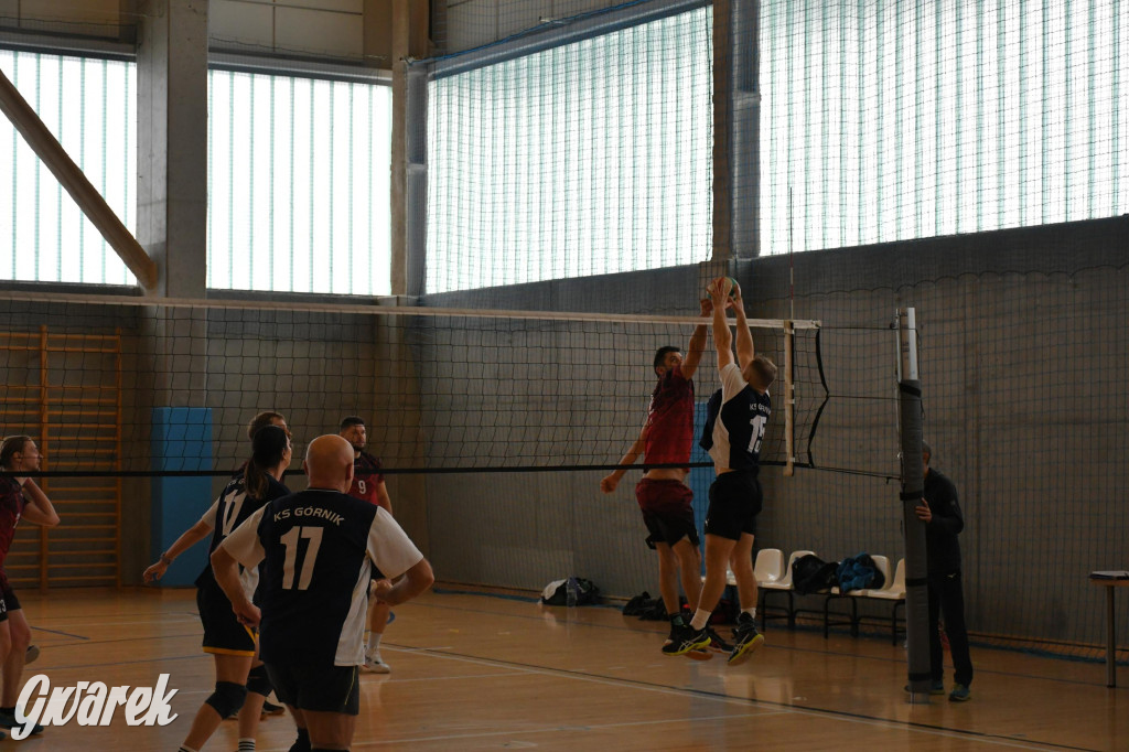 Znamy zwycięzców w siatkówce Spartakiady Dzielnic