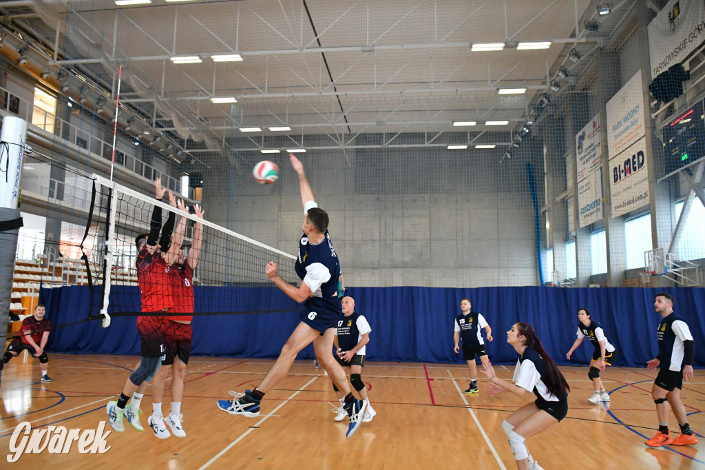 Znamy zwycięzców w siatkówce Spartakiady Dzielnic