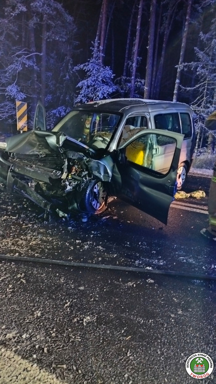 Czołowe zderzenie na DK 11. Droga była zablokowana