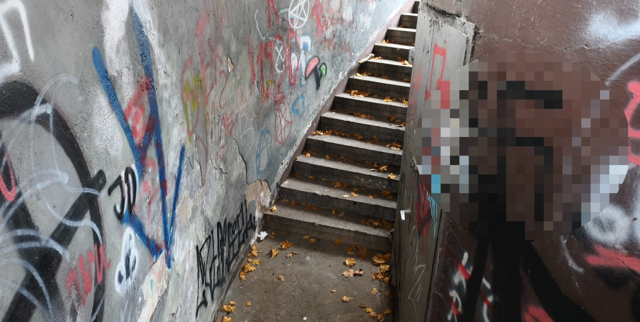 Tarnowskie Góry. Park Miejski – amfiteatr za muszlę