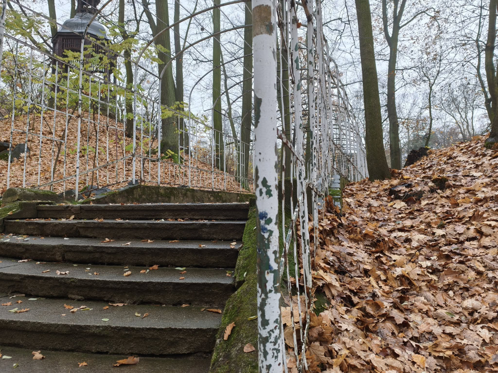 Tarnowskie Góry. Park Miejski – amfiteatr za muszlę