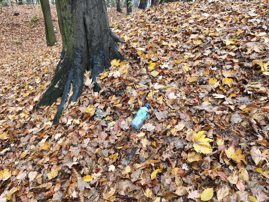 Tarnowskie Góry. Park Miejski – amfiteatr za muszlę