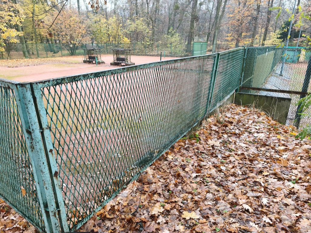 Tarnowskie Góry. Park Miejski – amfiteatr za muszlę