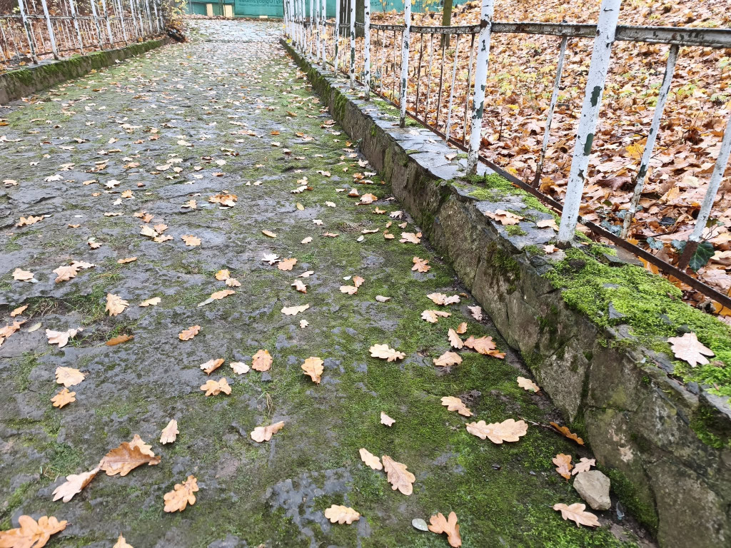 Tarnowskie Góry. Park Miejski – amfiteatr za muszlę