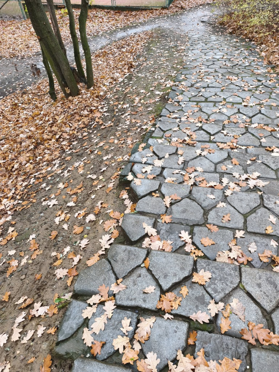 Tarnowskie Góry. Park Miejski – amfiteatr za muszlę