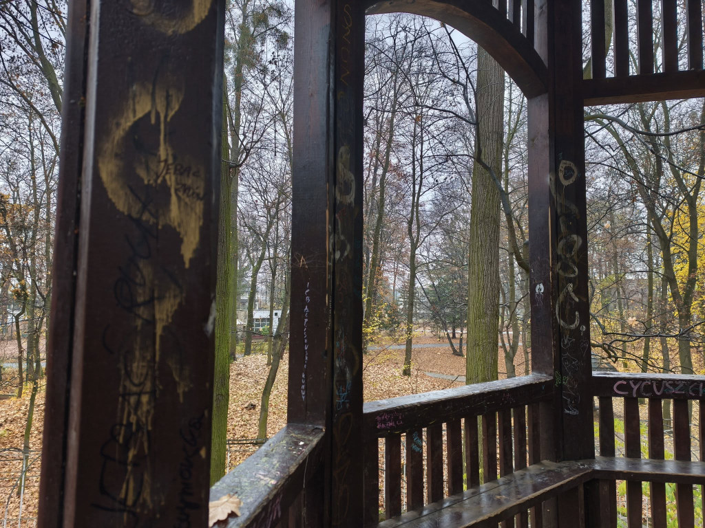 Tarnowskie Góry. Park Miejski – amfiteatr za muszlę