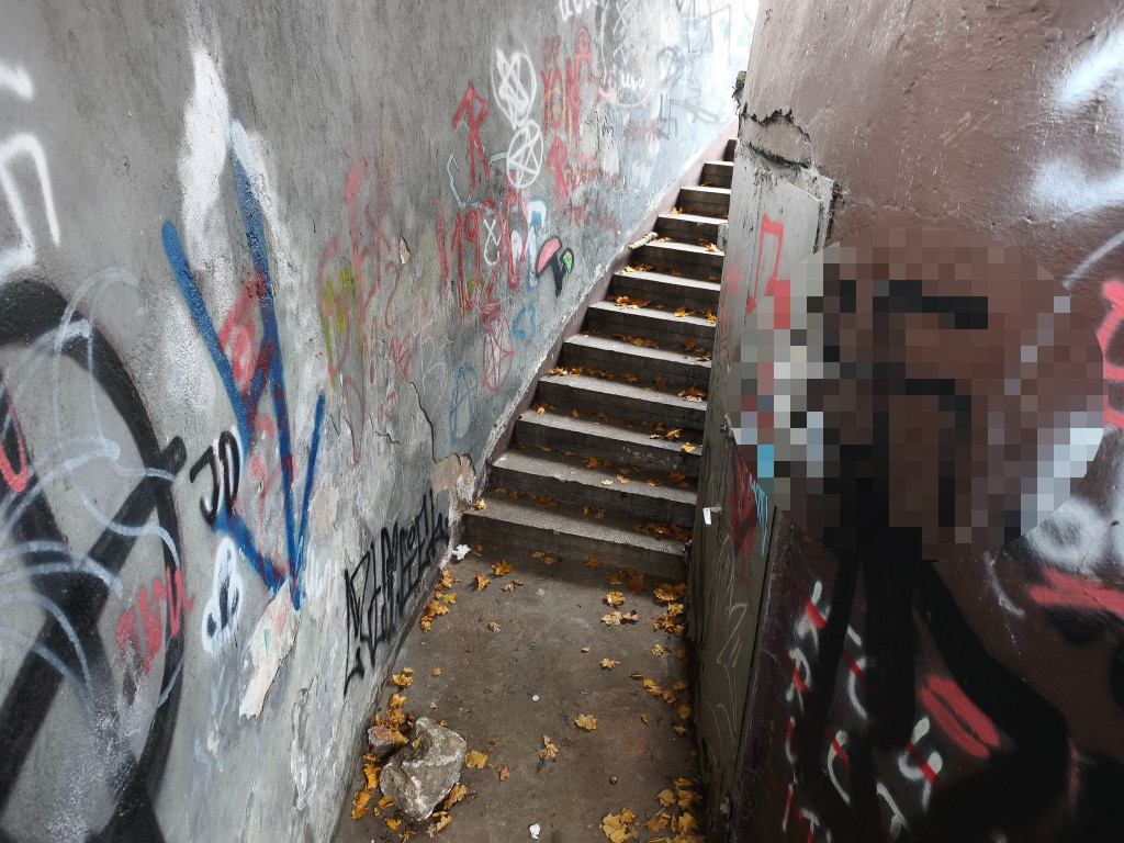 Tarnowskie Góry. Park Miejski – amfiteatr za muszlę