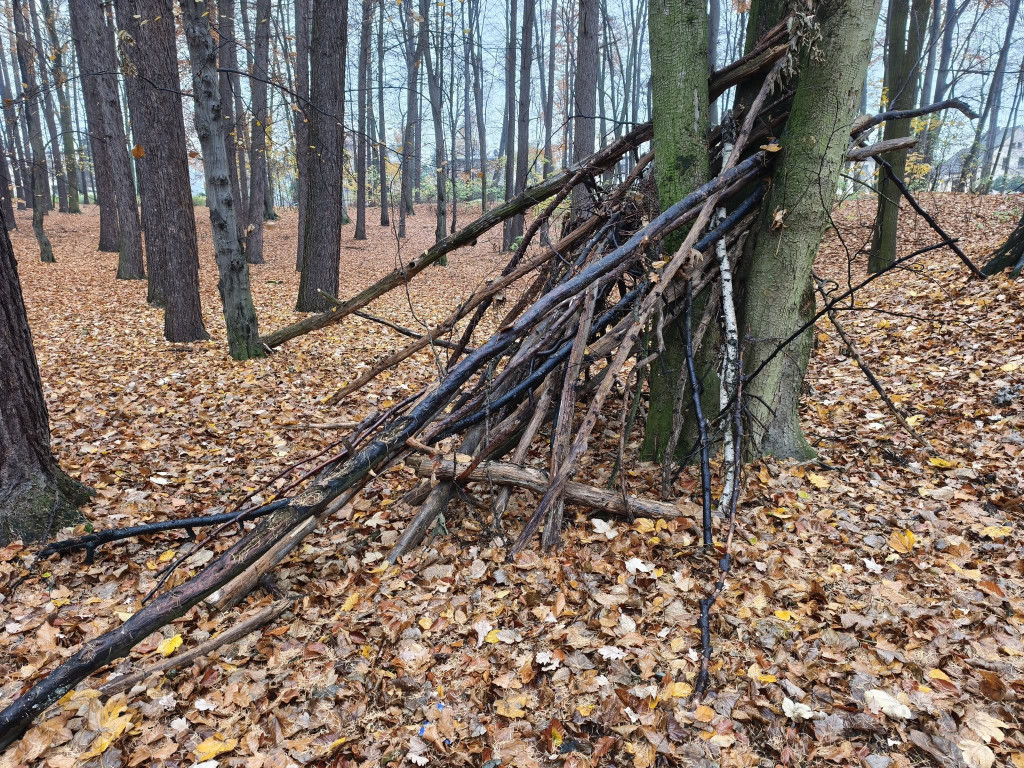 Tarnowskie Góry. Park Miejski – amfiteatr za muszlę