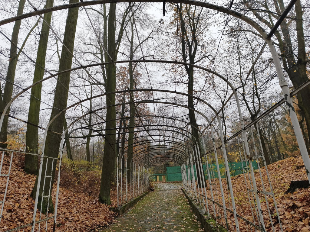 Tarnowskie Góry. Park Miejski – amfiteatr za muszlę