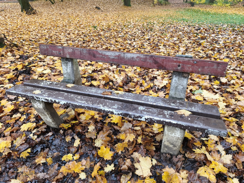 Tarnowskie Góry. Park Miejski – amfiteatr za muszlę