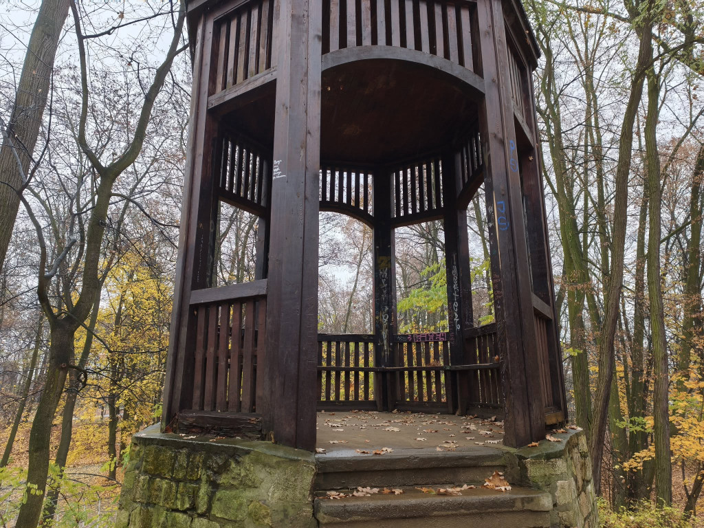 Tarnowskie Góry. Park Miejski – amfiteatr za muszlę