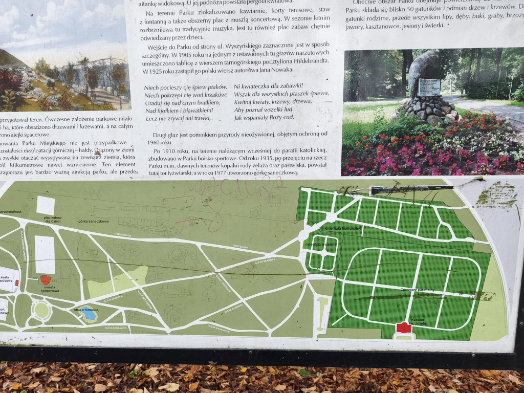 Tarnowskie Góry. Park Miejski – amfiteatr za muszlę