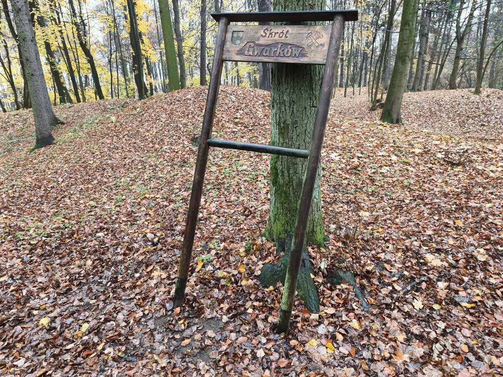 Tarnowskie Góry. Park Miejski – amfiteatr za muszlę