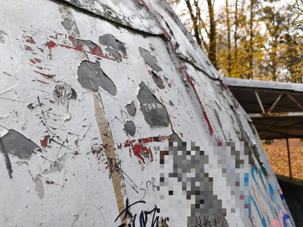 Tarnowskie Góry. Park Miejski – amfiteatr za muszlę