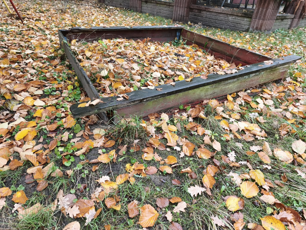 Tarnowskie Góry. Park Miejski – amfiteatr za muszlę