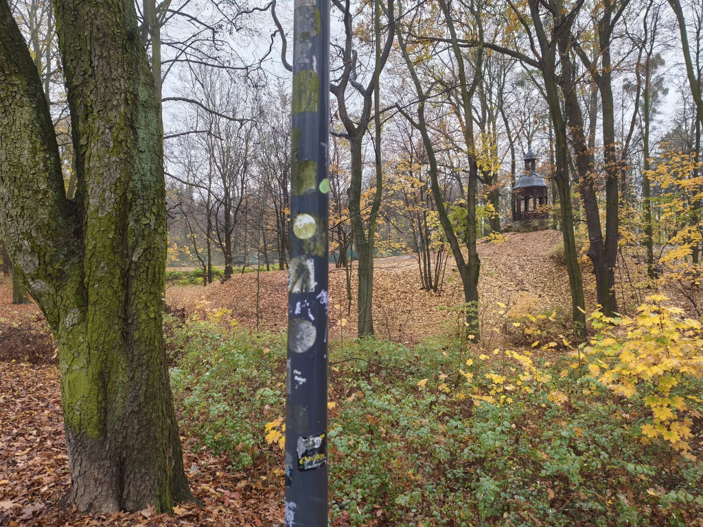 Tarnowskie Góry. Park Miejski – amfiteatr za muszlę