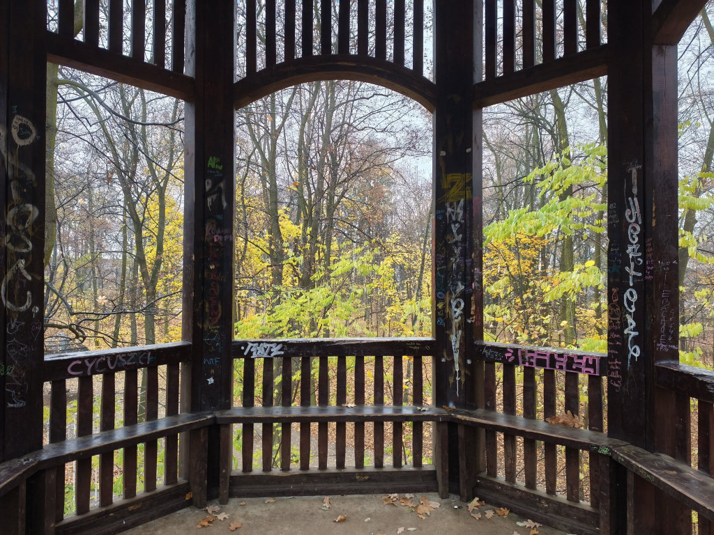 Tarnowskie Góry. Park Miejski – amfiteatr za muszlę