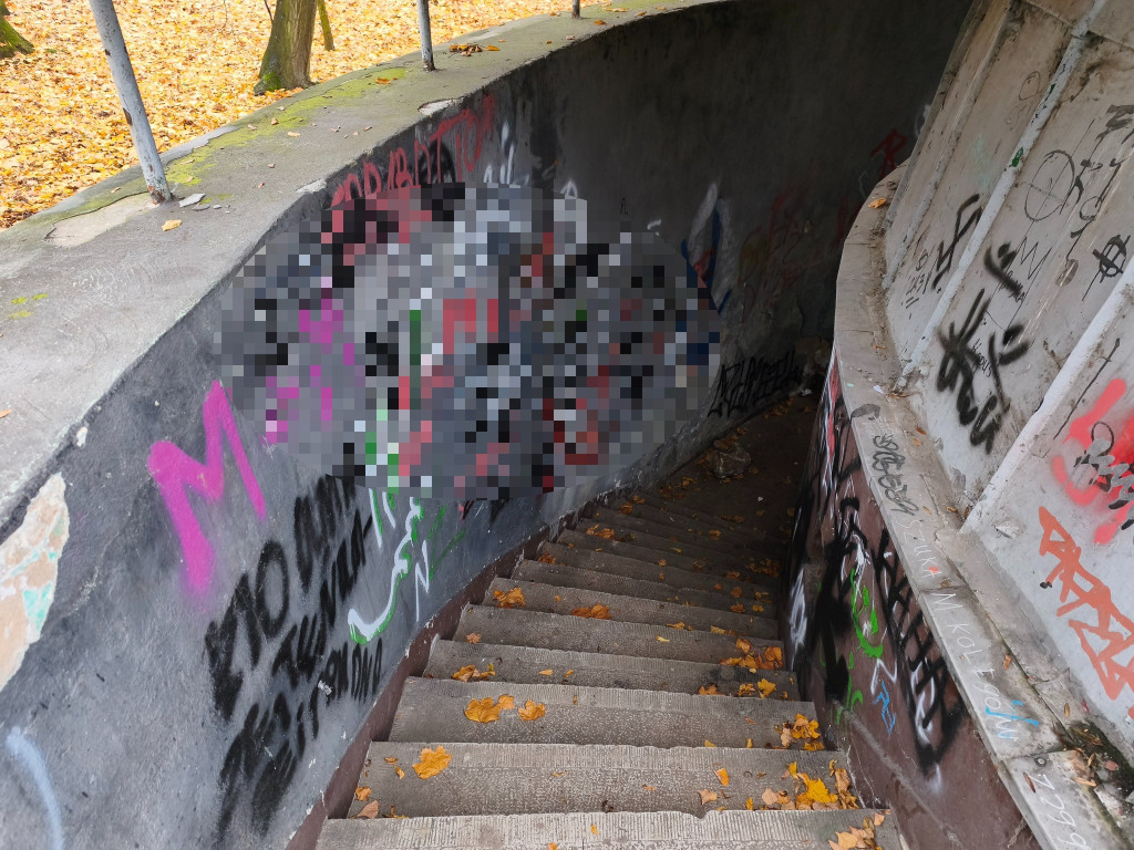 Tarnowskie Góry. Park Miejski – amfiteatr za muszlę