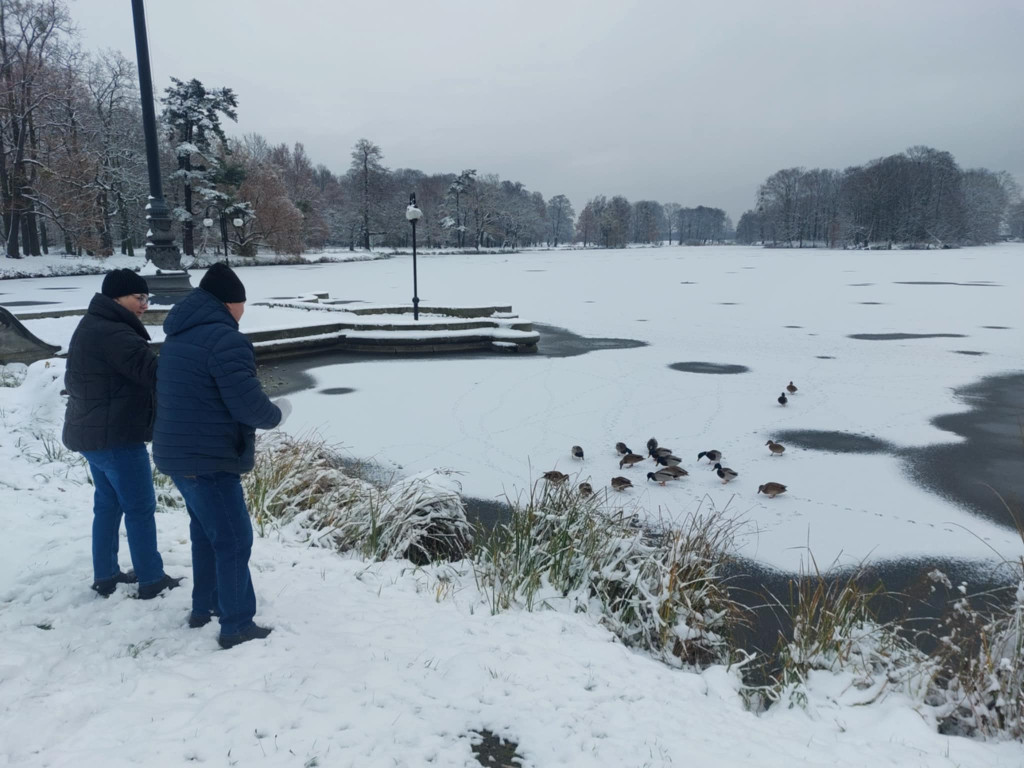 Świerklaniec. Kaczkomat przy stawie w parku
