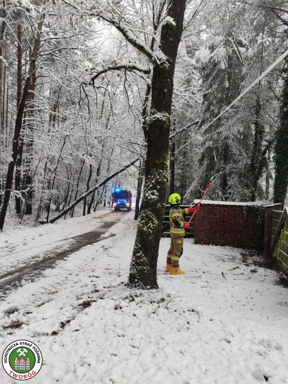 Powiat tarnogórski. Strażacy mieli pełne ręce roboty