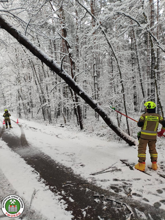 Powiat tarnogórski. Strażacy mieli pełne ręce roboty