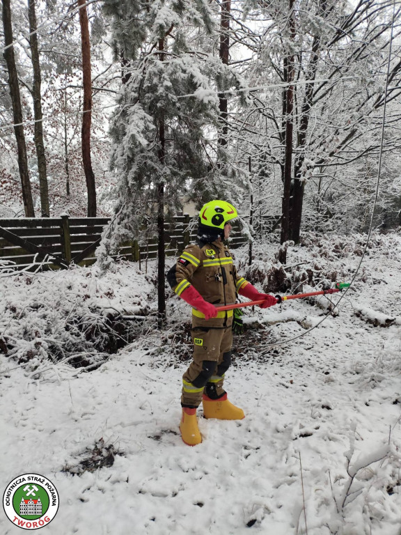 Powiat tarnogórski. Strażacy mieli pełne ręce roboty