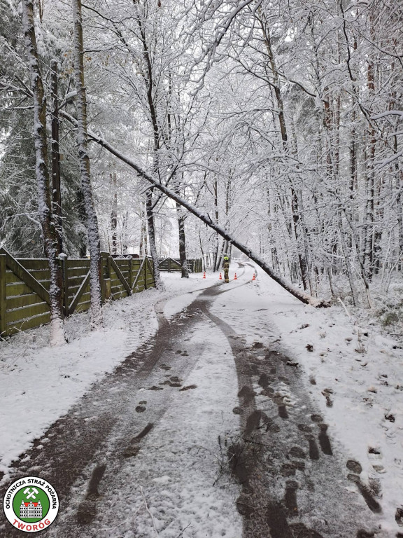 Powiat tarnogórski. Strażacy mieli pełne ręce roboty