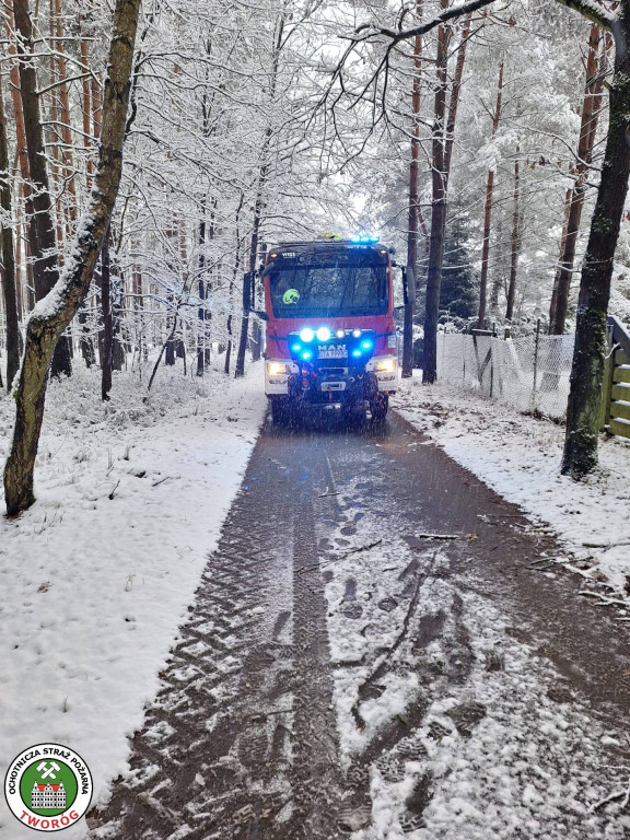 Powiat tarnogórski. Strażacy mieli pełne ręce roboty