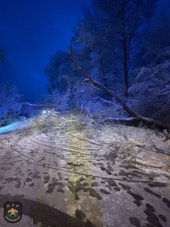 Powiat tarnogórski. Strażacy mieli pełne ręce roboty
