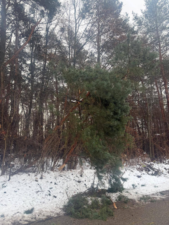 Powiat tarnogórski. Strażacy mieli pełne ręce roboty