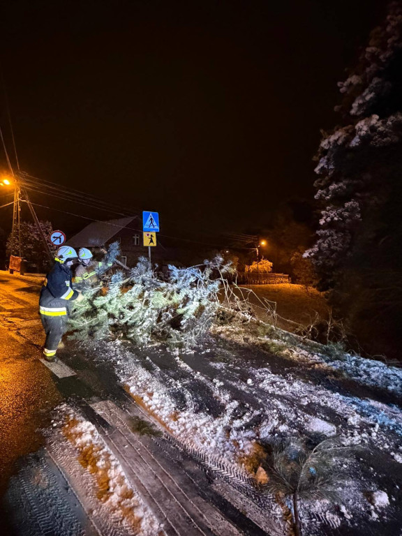 Powiat tarnogórski. Strażacy mieli pełne ręce roboty