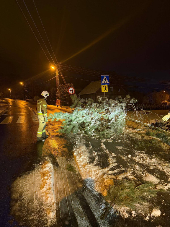Powiat tarnogórski. Strażacy mieli pełne ręce roboty