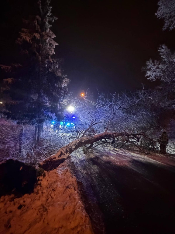 Powiat tarnogórski. Strażacy mieli pełne ręce roboty