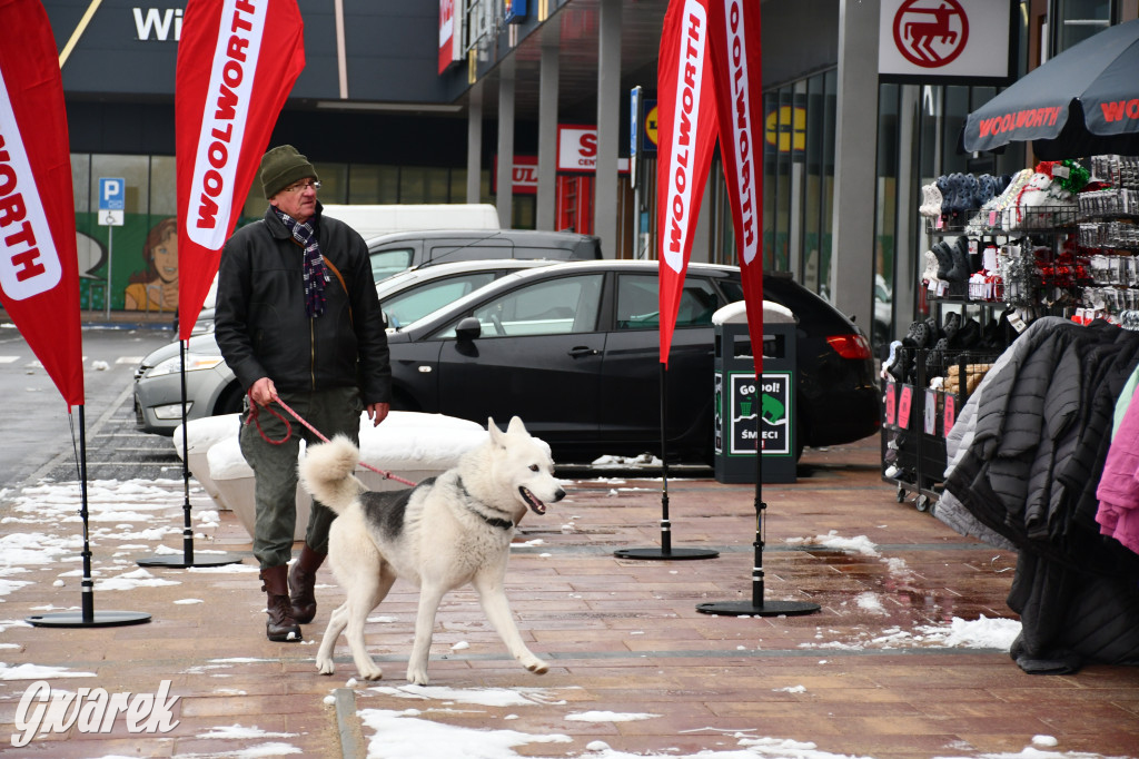 Znane marki, małe emocje. Park S1 zaskoczył frekwencją