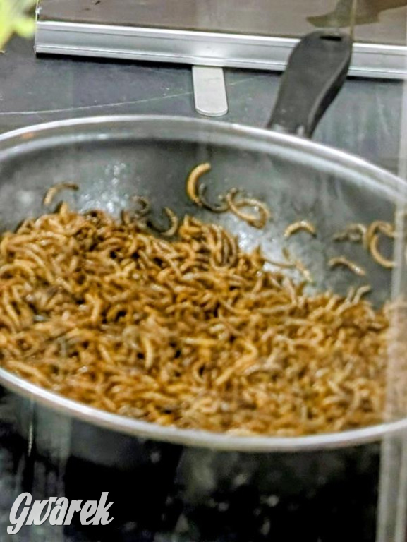 Dla łasuchów i miłośników kuchni azjatyckiej