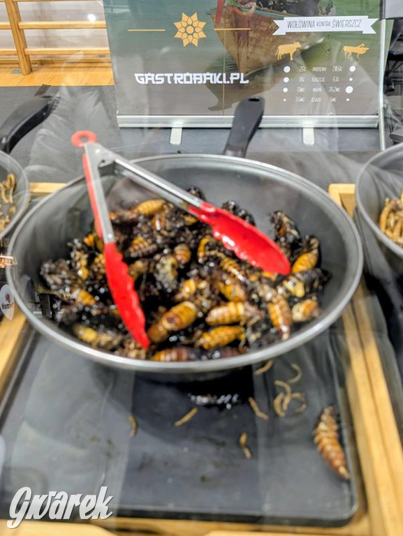 Dla łasuchów i miłośników kuchni azjatyckiej