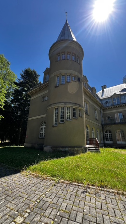 Pałac Baildonów na sprzedaż. Cenę obniżono