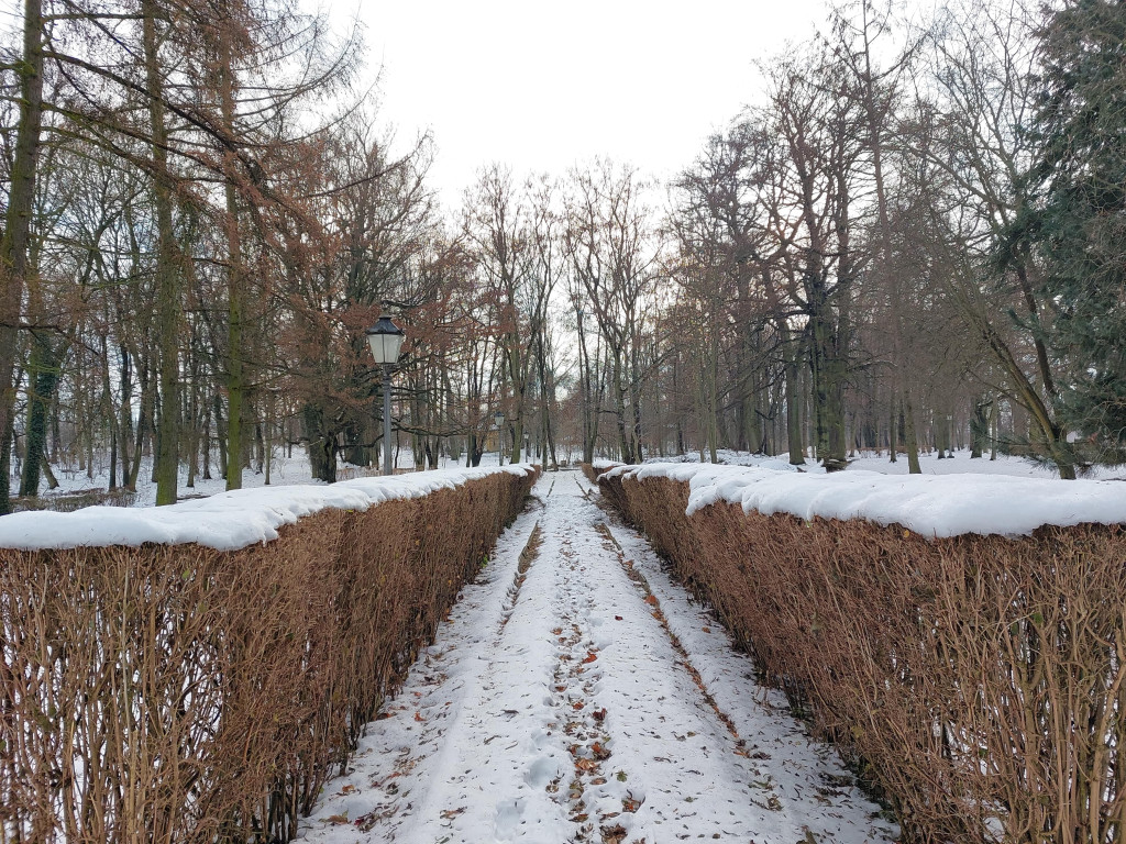 Pałac Baildonów na sprzedaż. Cenę obniżono